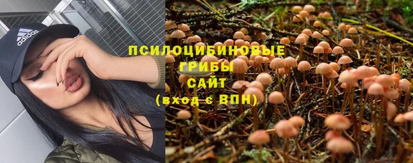 наркотики Алексеевка